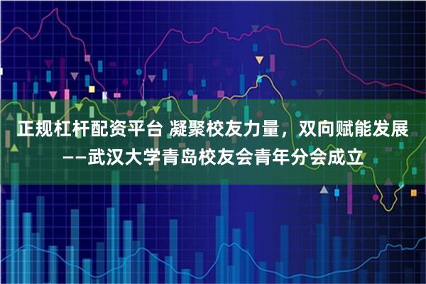 正规杠杆配资平台 凝聚校友力量，双向赋能发展——武汉大学青岛校友会青年分会成立