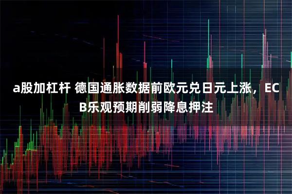 a股加杠杆 德国通胀数据前欧元兑日元上涨，ECB乐观预期削弱降息押注