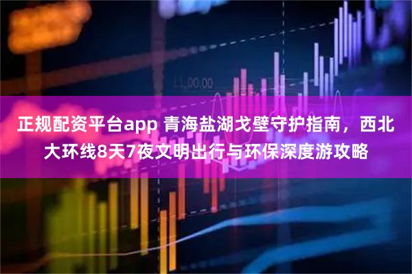 正规配资平台app 青海盐湖戈壁守护指南，西北大环线8天7夜文明出行与环保深度游攻略